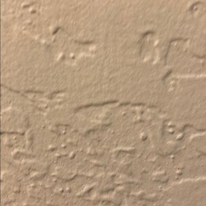 Meet your Posher, Pedro